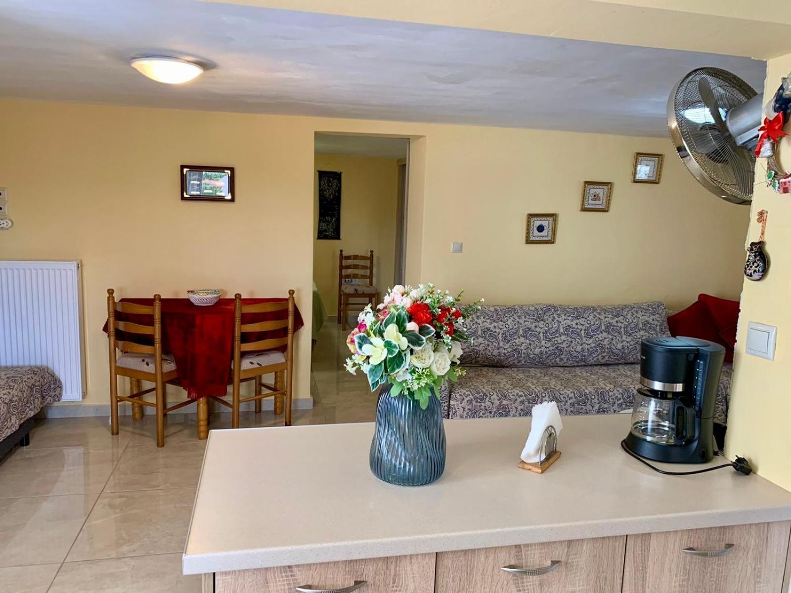 Sofia'S Seaview Villa Near Airport And Beach アルテミダ エクステリア 写真