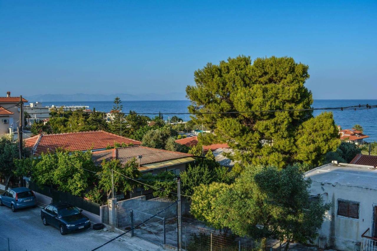 Sofia'S Seaview Villa Near Airport And Beach アルテミダ エクステリア 写真